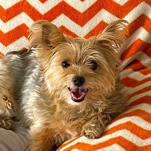 Meet your Posher, Stefanie